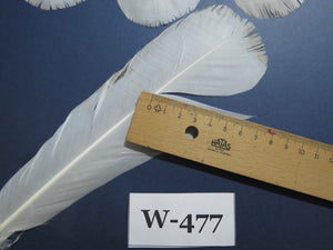16 Pcs White Turkey Tail Feathers, Fly Tying Materials,Long Feathers. (W-477)