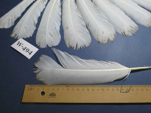 16 Pcs White Turkey Tail Feathers, Fly Tying Materials,Long Feathers. (W-494)