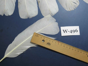 16 Pcs White Turkey Tail Feathers, Fly Tying Materials,Long Feathers. (W-496)