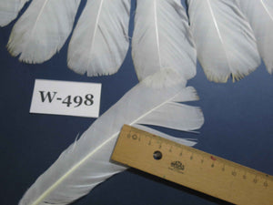 18 Pcs White Turkey Tail Feathers, Fly Tying Materials,Long Feathers. (W-498)