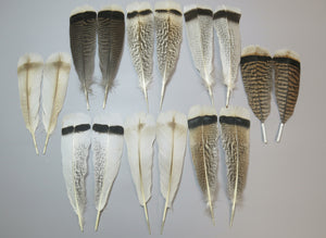 8 Pairs Turkey Feathers, Tail Feathers, Fly Tying Materials, Natural Feathers (AMZ-123)