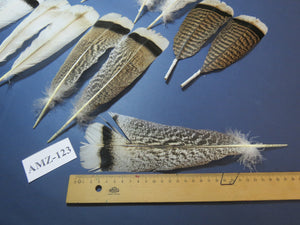8 Pairs Turkey Feathers, Tail Feathers, Fly Tying Materials, Natural Feathers (AMZ-123)