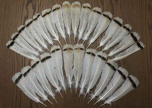 28 Pcs Turkey Tail Feathers, Fly Tying Material,Craft Feathers,Natural Turkey Feathers (2041)