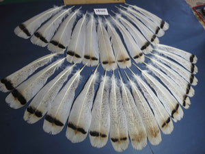 28 Pcs Turkey Tail Feathers, Fly Tying Material,Craft Feathers,Natural Turkey Feathers (2041)