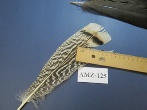 8 Pairs Turkey Feathers, Tail Feathers, Fly Tying Materials, Natural Feathers (AMZ-125)