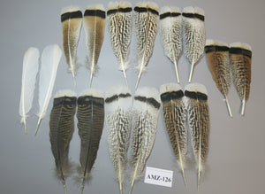 8 Pairs Turkey Feathers, Tail Feathers, Fly Tying Materials, Natural Feathers (AMZ-126)
