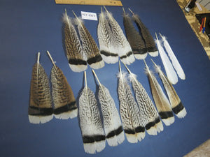 8 Pairs Turkey Feathers, Tail Feathers, Fly Tying Materials, Natural Feathers (AMZ-126)