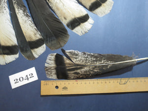 18 Pcs Turkey Tail Feathers, Fly Tying Material,Craft Feathers,Natural Turkey Feathers (2042)