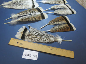 8 Pairs Turkey Feathers, Tail Feathers, Fly Tying Materials, Natural Feathers (AMZ-126)