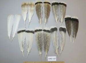 8 Pairs Turkey Feathers, Tail Feathers, Fly Tying Materials, Natural Feathers (AMZ-127)