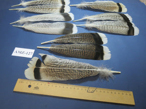 8 Pairs Turkey Feathers, Tail Feathers, Fly Tying Materials, Natural Feathers (AMZ-127)