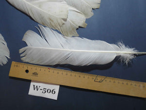 16 Pcs White Turkey Tail Feathers, Turkey Feathers,Fly Tying Material,Craft Feathers,Natural Feathers (W-506)
