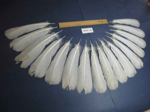 16 Pcs White Turkey Tail Feathers, Turkey Feathers,Fly Tying Material,Craft Feathers,Natural Feathers (W-509)