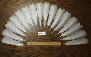 white turkey feathers