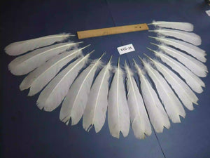 white turkey feathers