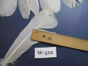 white turkey feathers