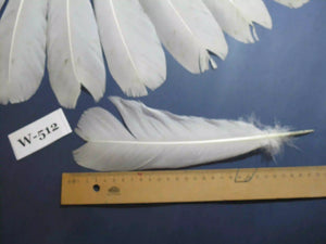 white turkey feathers