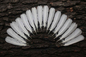 16 Pcs White Turkey Tail Feathers, Turkey Feathers,Fly Tying Material,Craft Feathers,Natural Turkey Feathers (W-513)