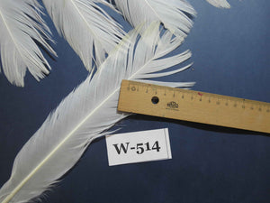18 Pcs White Turkey Tail Feathers, Turkey Feathers,Fly Tying Material,Craft Feathers,Natural Turkey Feathers (W-514)
