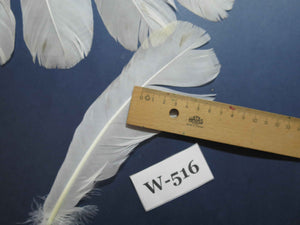 16 Pcs White Turkey Tail Feathers, Turkey Feathers,Fly Tying Material,Craft Feathers,Natural Turkey Feathers (W-516)