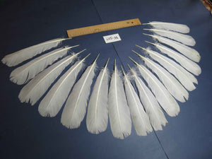 16 Pcs White Turkey Tail Feathers, Turkey Feathers,Fly Tying Material,Craft Feathers,Natural Feathers (W-517)