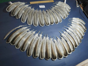 38 Pcs Turkey Wing Feathers, Fly Tying Material,Craft Feathers,Natural Turkey Feathers (2075)