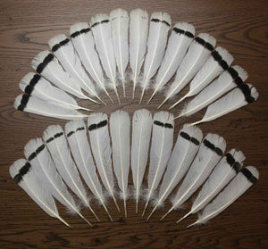 26 Pcs Turkey Tail Feathers, Fly Tying Material,Craft Feathers,Natural Turkey Feathers (2080)