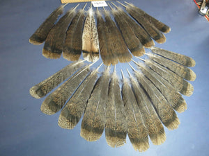 22 Pcs Turkey Tail Feathers, Fly Tying Material,Craft Feathers,Natural Turkey Feathers (2081)