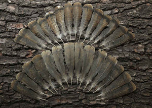 28 Pcs Turkey Tail Feathers, Fly Tying Material,Craft Feathers,Natural Turkey Feathers (2089)