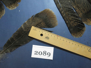 28 Pcs Turkey Tail Feathers, Fly Tying Material,Craft Feathers,Natural Turkey Feathers (2089)