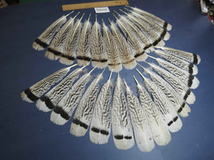 26 Pcs Turkey Tail Feathers, Fly Tying Material,Craft Feathers,Natural Turkey Feathers (2093)