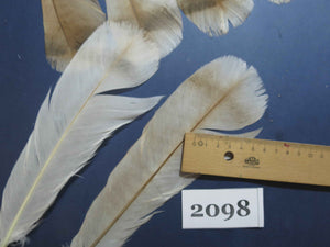 30 Pcs Turkey Tail Feathers, Fly Tying Material,Craft Feathers,Natural Turkey Feathers (2098)