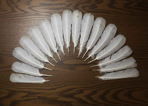 16 Pcs White Turkey Tail Feathers, Turkey Feathers,Fly Tying Material,Craft Feathers,Natural Turkey Feathers (W-520)