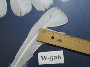 16 Pcs White Turkey Tail Feathers, Turkey Feathers,Fly Tying Material,Craft Feathers,Natural Turkey Feathers (W-526)