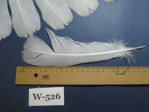 16 Pcs White Turkey Tail Feathers, Turkey Feathers,Fly Tying Material,Craft Feathers,Natural Turkey Feathers (W-526)