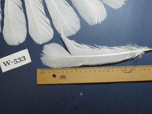 16 Pcs White Turkey Tail Feathers, Turkey Feathers,Fly Tying Material,Craft Feathers,Natural Turkey Feathers (W-533)