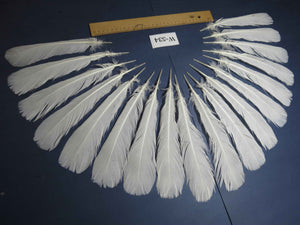 18 Pcs White Turkey Tail Feathers, Turkey Feathers,Fly Tying Material,Craft Feathers,Natural Turkey Feathers (W-534)
