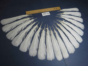 18 Pcs White Turkey Tail Feathers, Turkey Feathers,Fly Tying Material,Craft Feathers,Natural Turkey Feathers (W-535)