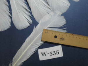 18 Pcs White Turkey Tail Feathers, Turkey Feathers,Fly Tying Material,Craft Feathers,Natural Turkey Feathers (W-535)
