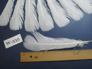 18 Pcs White Turkey Tail Feathers, Turkey Feathers,Fly Tying Material,Craft Feathers,Natural Turkey Feathers (W-535)
