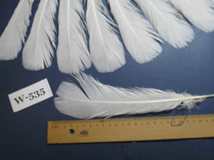 18 Pcs White Turkey Tail Feathers, Turkey Feathers,Fly Tying Material,Craft Feathers,Natural Turkey Feathers (W-535)