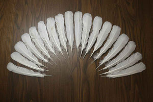 18 Pcs White Turkey Tail Feathers, Turkey Feathers,Fly Tying Material,Craft Feathers,Natural Turkey Feathers (W-536)