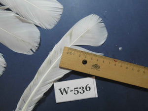18 Pcs White Turkey Tail Feathers, Turkey Feathers,Fly Tying Material,Craft Feathers,Natural Turkey Feathers (W-536)