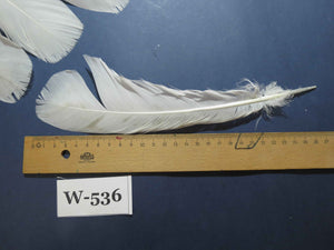 18 Pcs White Turkey Tail Feathers, Turkey Feathers,Fly Tying Material,Craft Feathers,Natural Turkey Feathers (W-536)