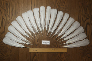 natural turkey feathers