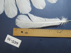 18 Pcs White Turkey Tail Feathers, Turkey Feathers,Fly Tying Material,Craft Feathers,Natural Turkey Feathers (W-539)