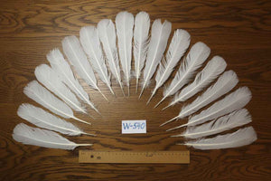 18 Pcs White Turkey Tail Feathers, Turkey Feathers,Fly Tying Material,Craft Feathers,Natural Turkey Feathers (W-540)