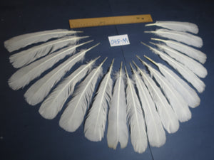 18 Pcs White Turkey Tail Feathers, Turkey Feathers,Fly Tying Material,Craft Feathers,Natural Turkey Feathers (W-540)