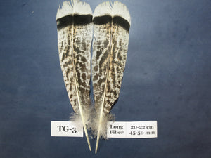 Tiger Turkey Tail Feathers (One Pair Set) ,Fly Tying Material,Craft Feathers,Natural Turkey Feathers.