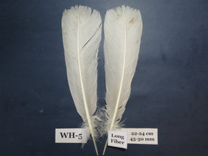 White Turkey Tail Feathers (One Pair Set) ,Fly Tying Material,Craft Feathers,Natural Turkey Feathers.